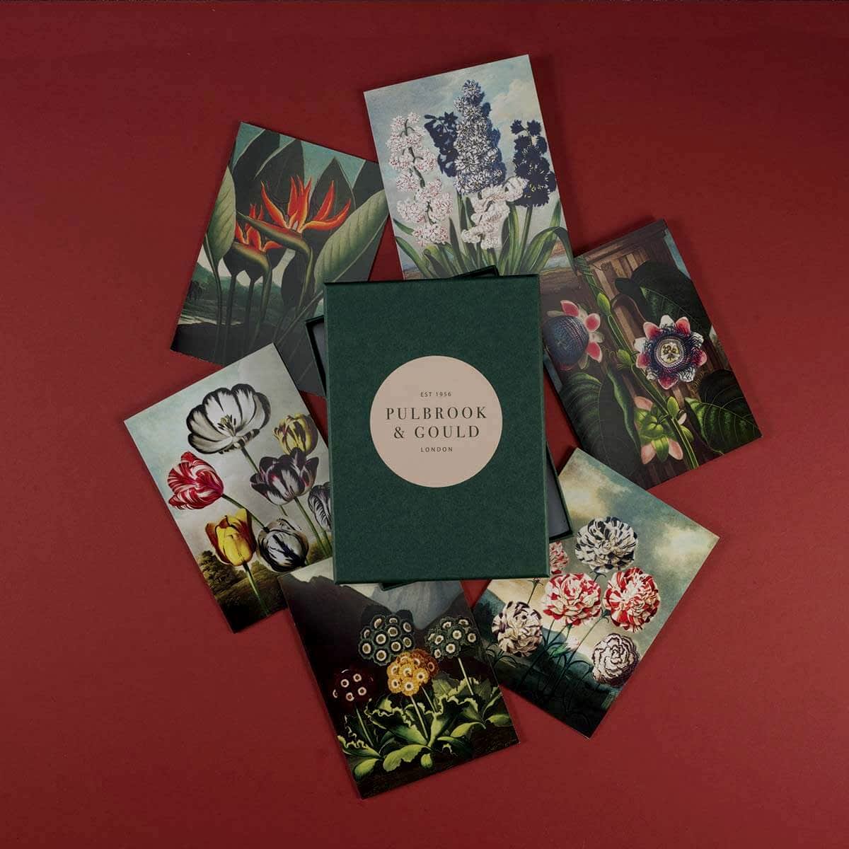 Tolstoy Gallery Greetings Card Box set - Exotic flowers - Pulbrook & Gould