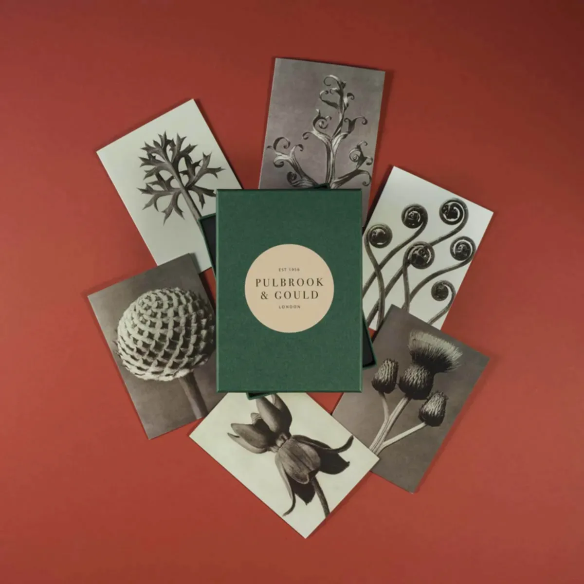 Tolstoy Gallery Greetings Card Box Set - Flora - Pulbrook & Gould