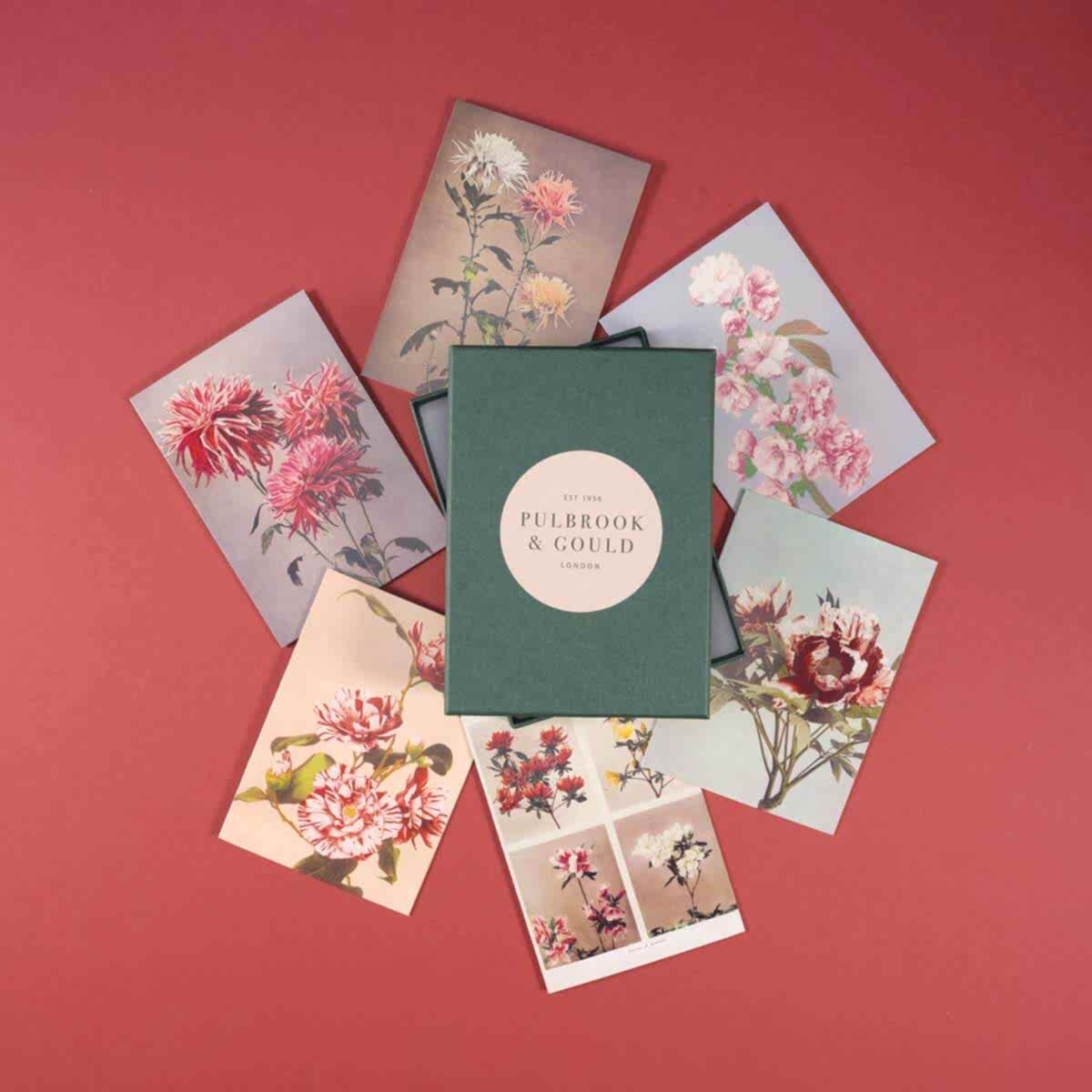 Tolstoy Gallery Greetings card Box set - Flowers - Pulbrook & Gould