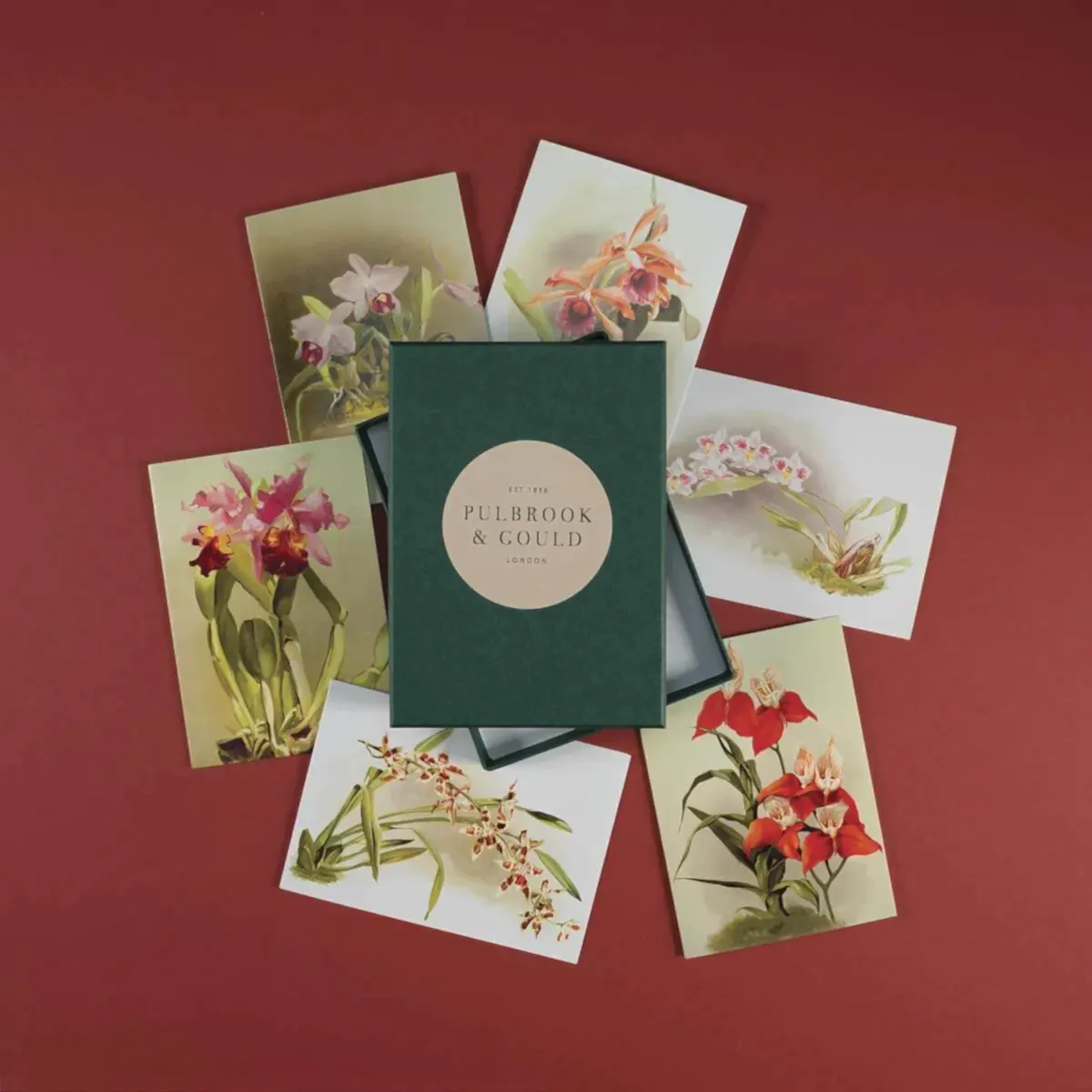 Tolstoy Gallery Greetings card Box set - Orchids - Pulbrook & Gould